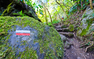 INFORMATION POUR DEVENIR BALISEUR