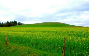 Randonnée Montchauvet